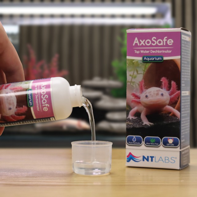 NT Labs AxoSafe 100ml – The Fish Barn