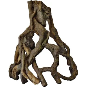 SF Mangrove Root L