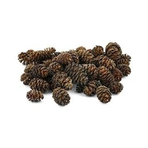 Alder Cones 50g
