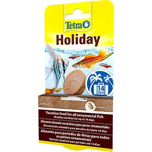 shopping (1).webp