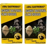 Gastrobac_edited.jpg