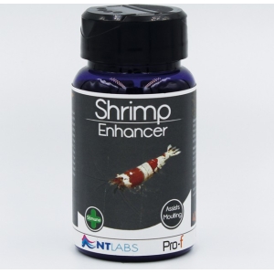 NT Labs Shrimp Enhancer 40g